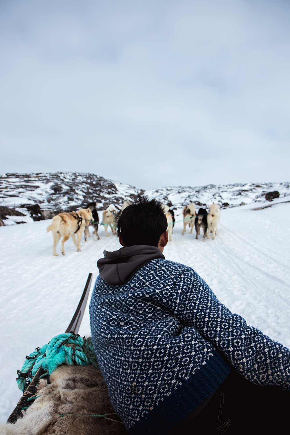 cruisen op de hondenslee highway in Ilulissat