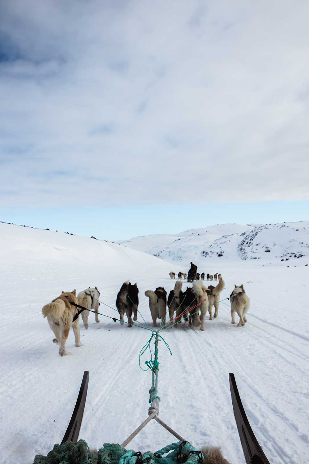 op de hondenslee snelweg in Ilulissat